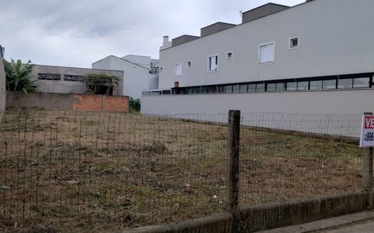 LOTE SANTO ANTÔNIO DE PÁDOA …